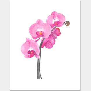 Watercolor orchid Posters and Art